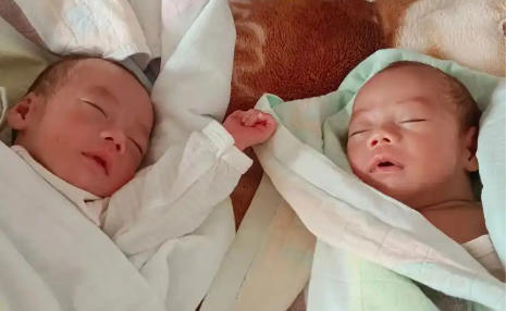 铜仁代生宝宝龙凤胎
